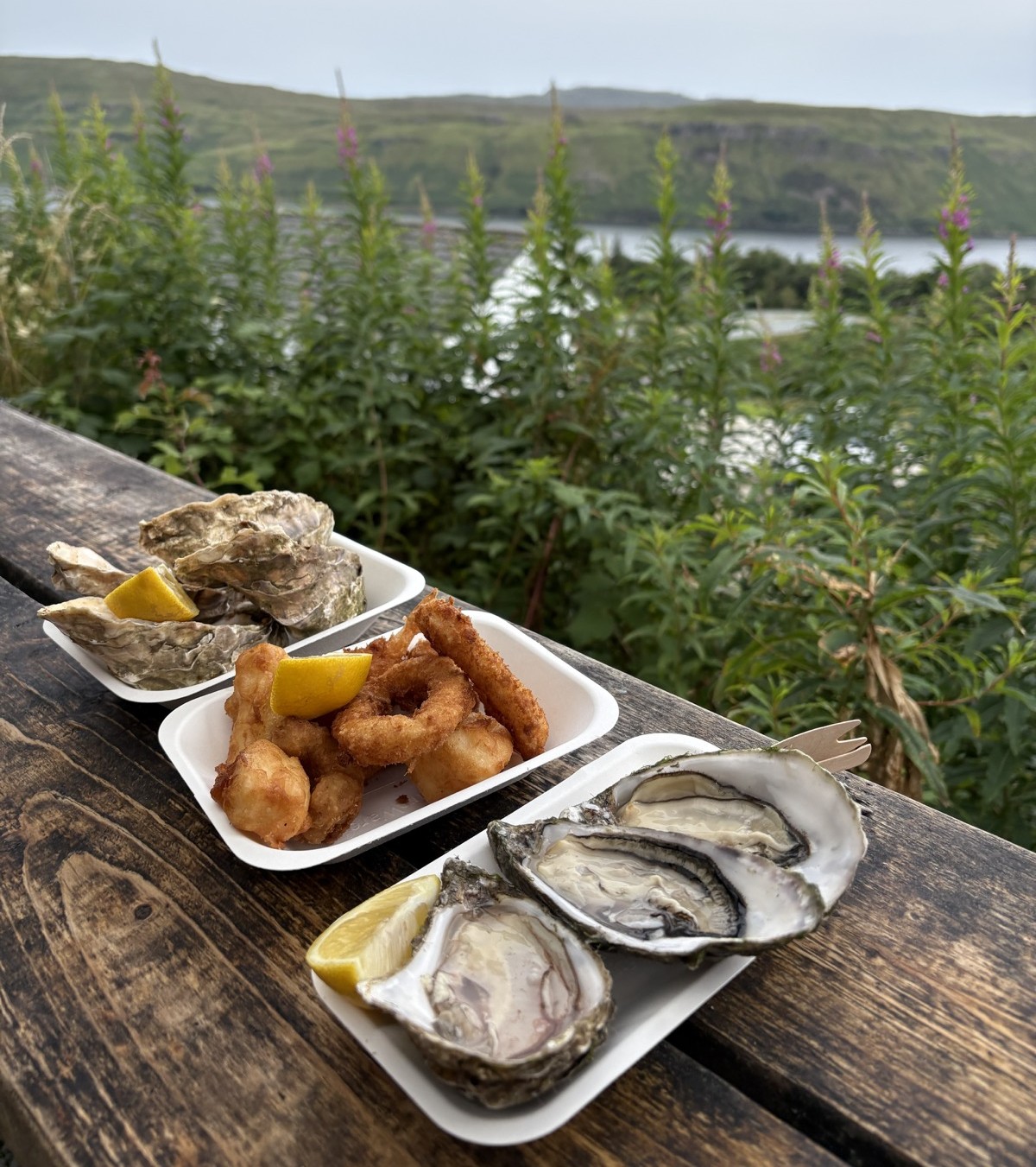 View from Oyster Shed